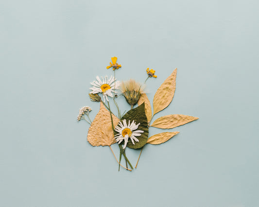 Floral Preservation Techniques: How to Press, Dry, and Preserve Flowers for Long-Term Enjoyment