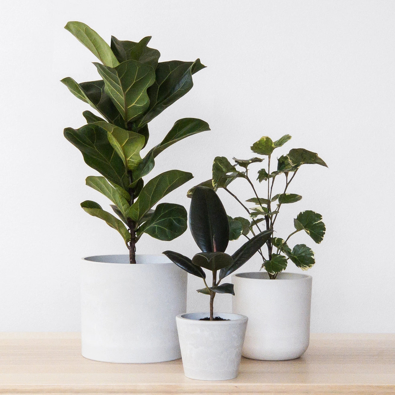 Kanso - Signature Stone Planter & Saucer Set