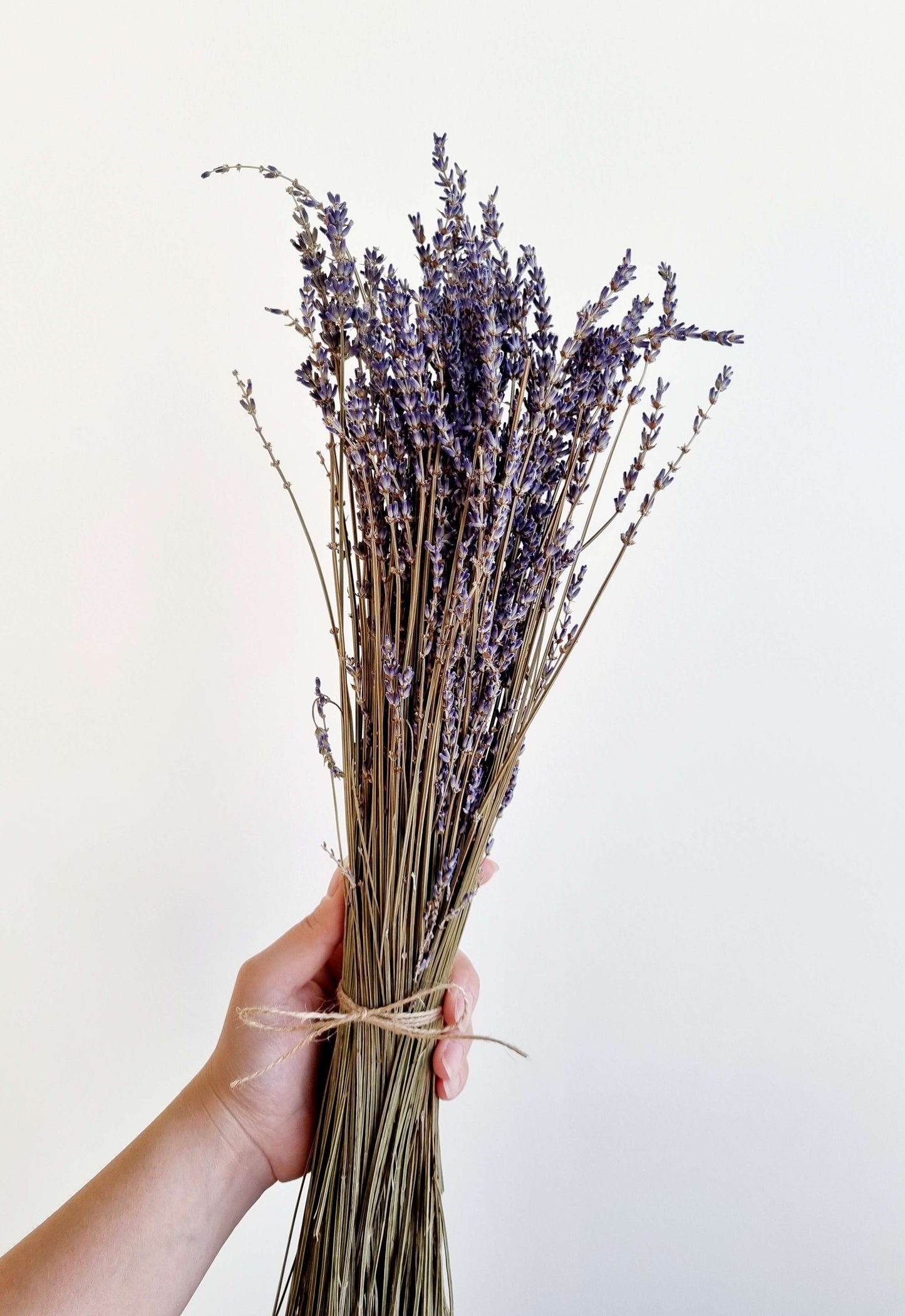 Natural Dried Lavendar