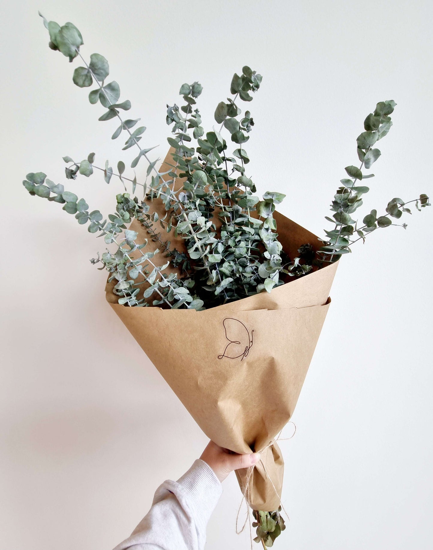 Natural Dried Eucalyptus