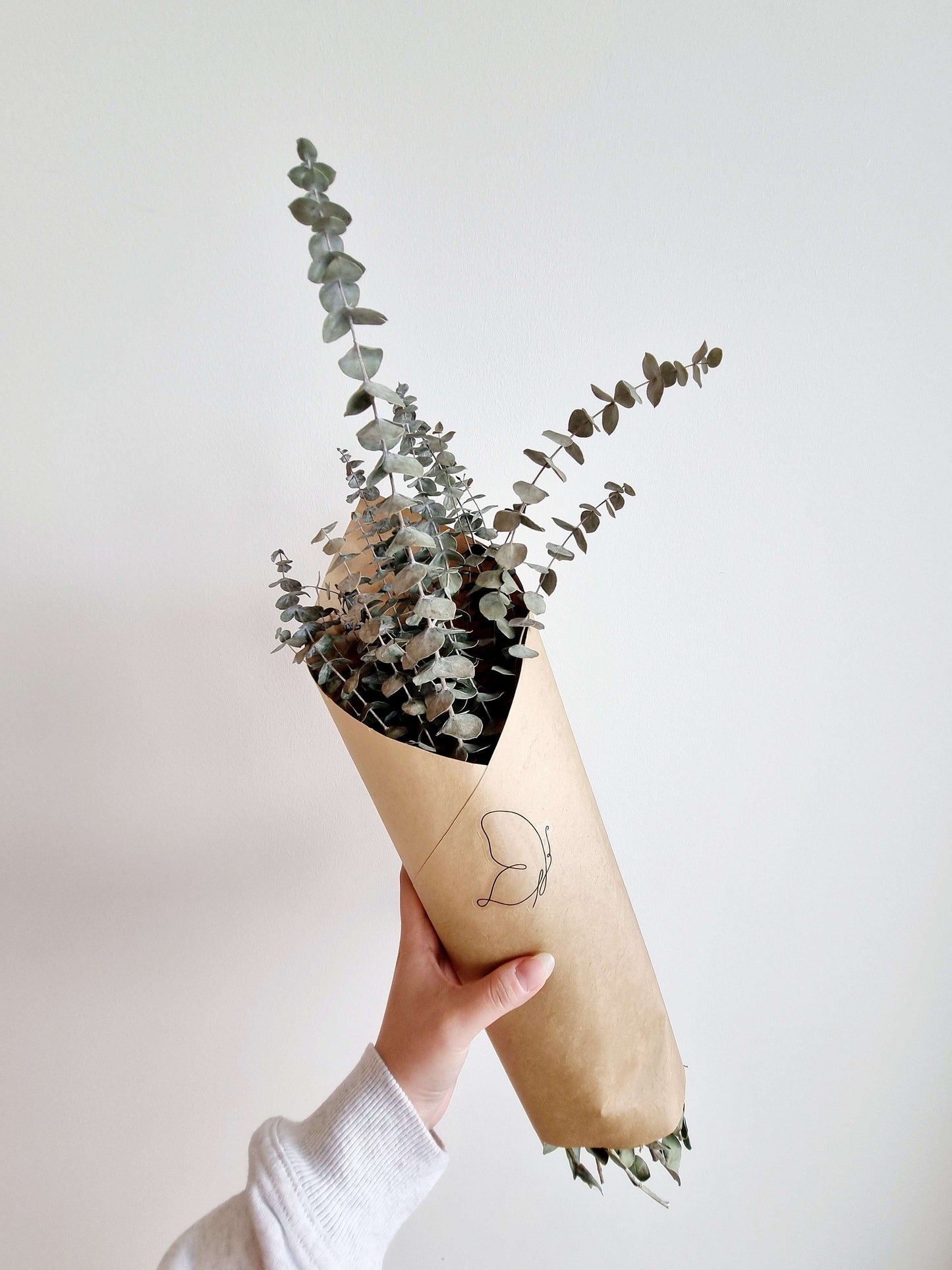 Natural Dried Eucalyptus