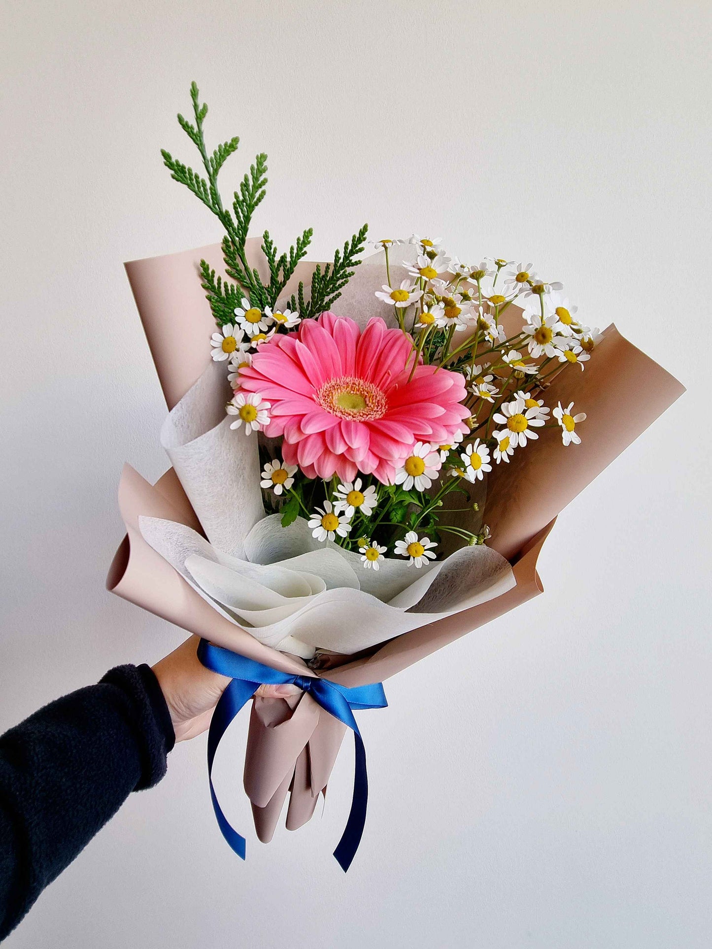 Gerbera Delight