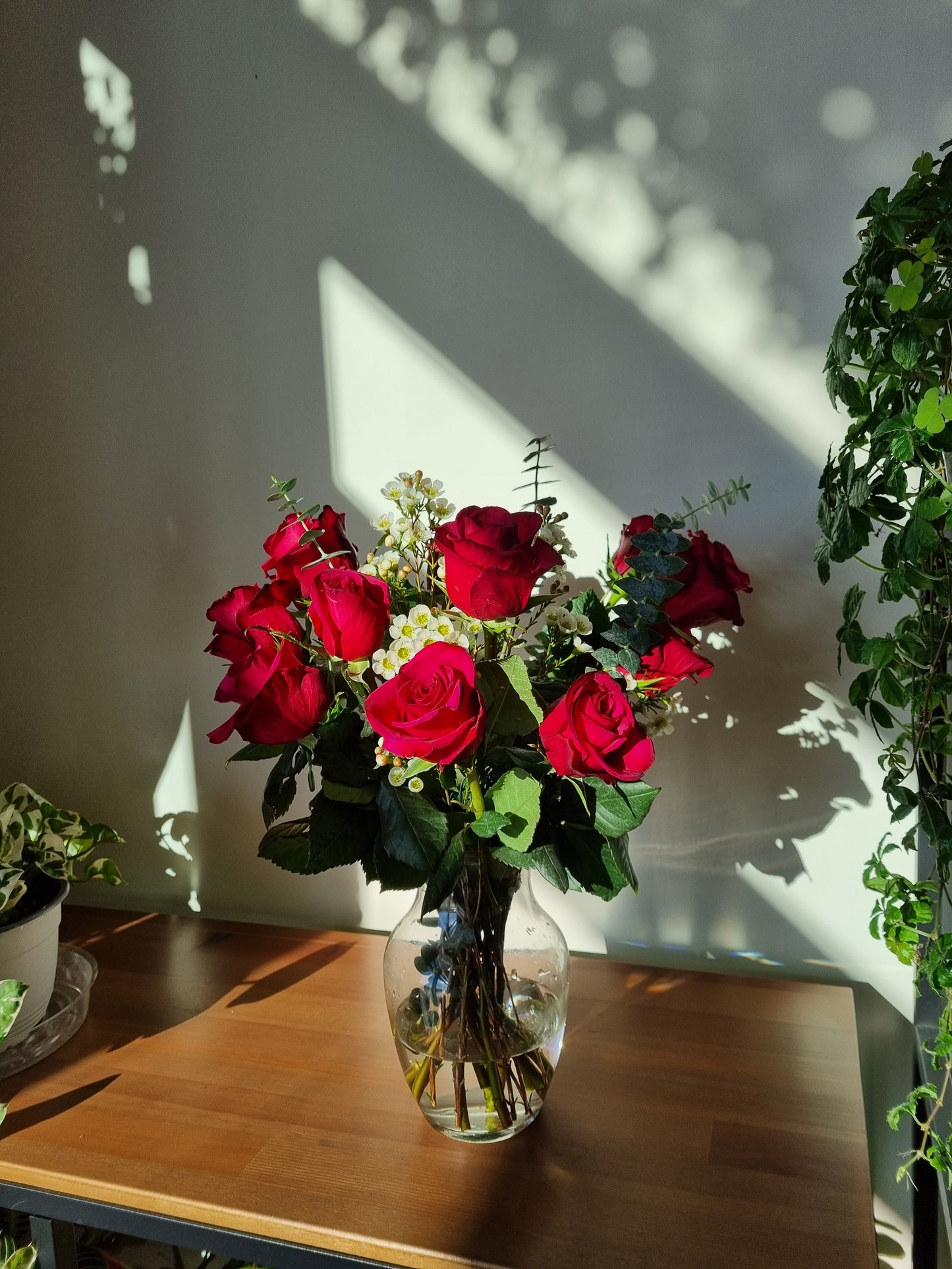 Signature Roses - Valentine's