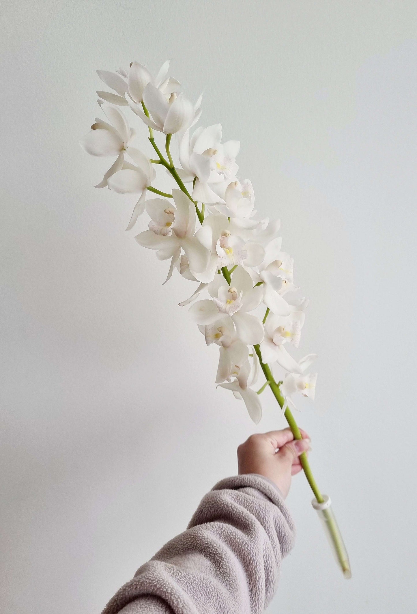 CUSTOM Nabi Florals