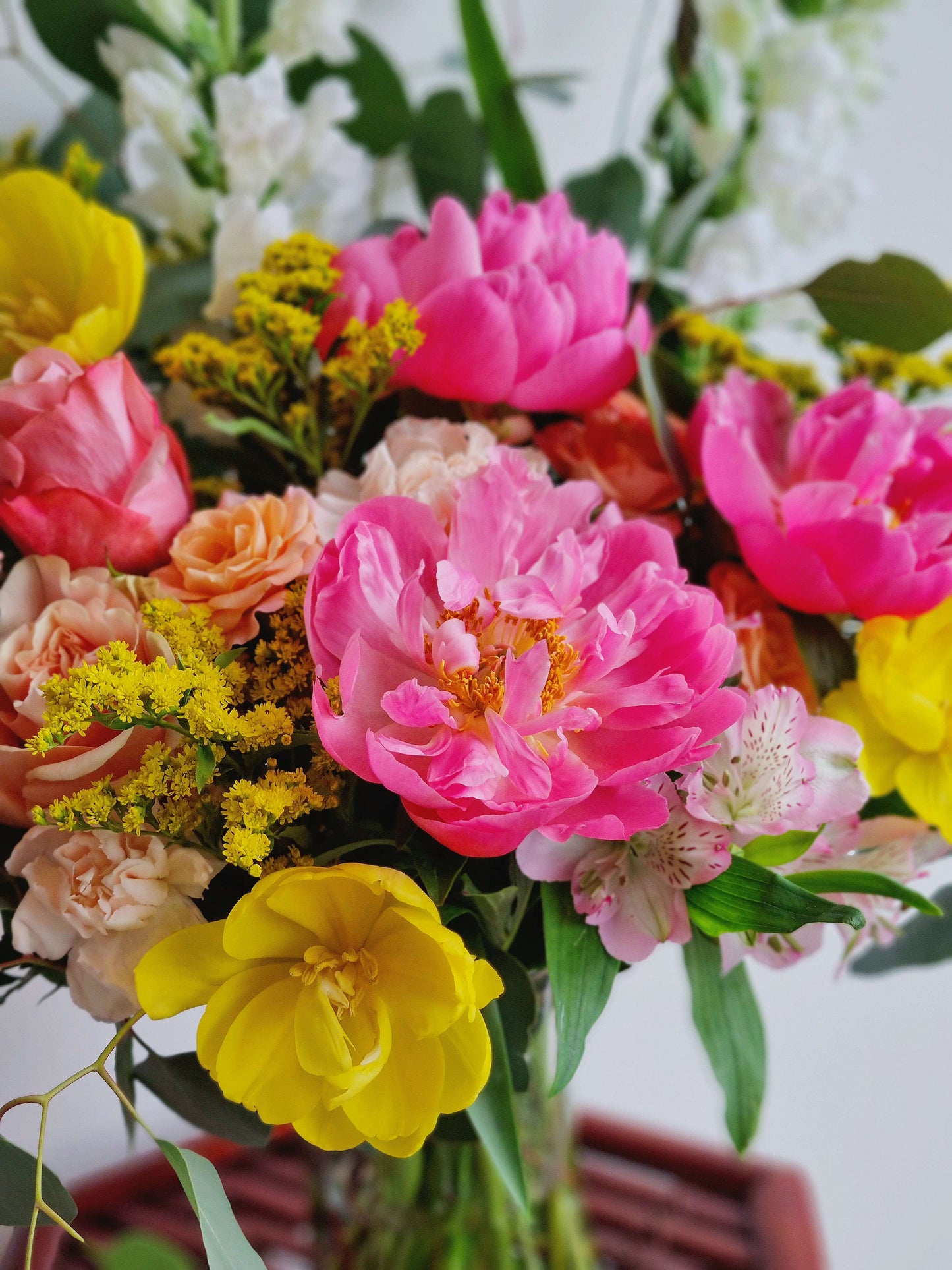 Peony Fairytale