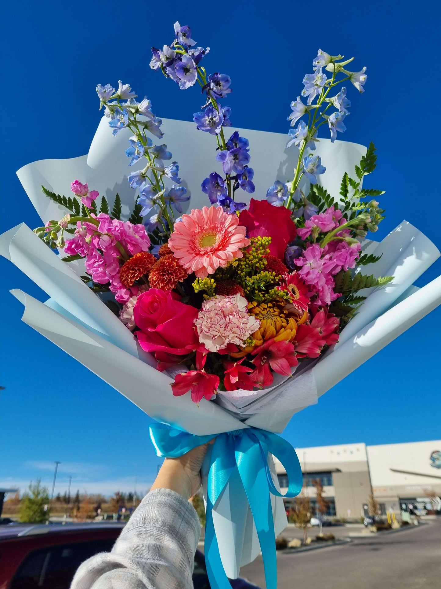 Blush Sky Flower - 연분홍 하늘꽃