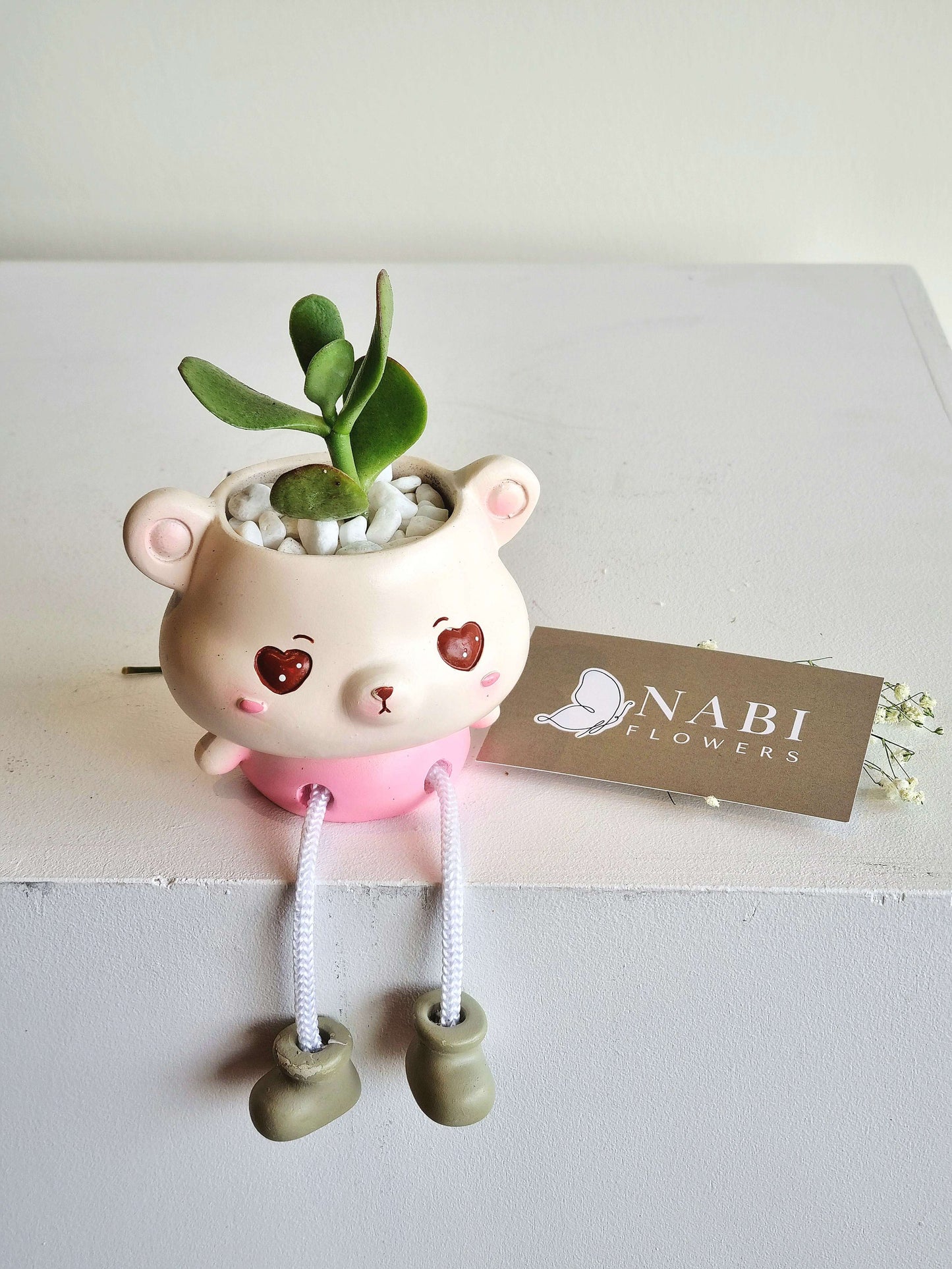 Happy Feet Succulent