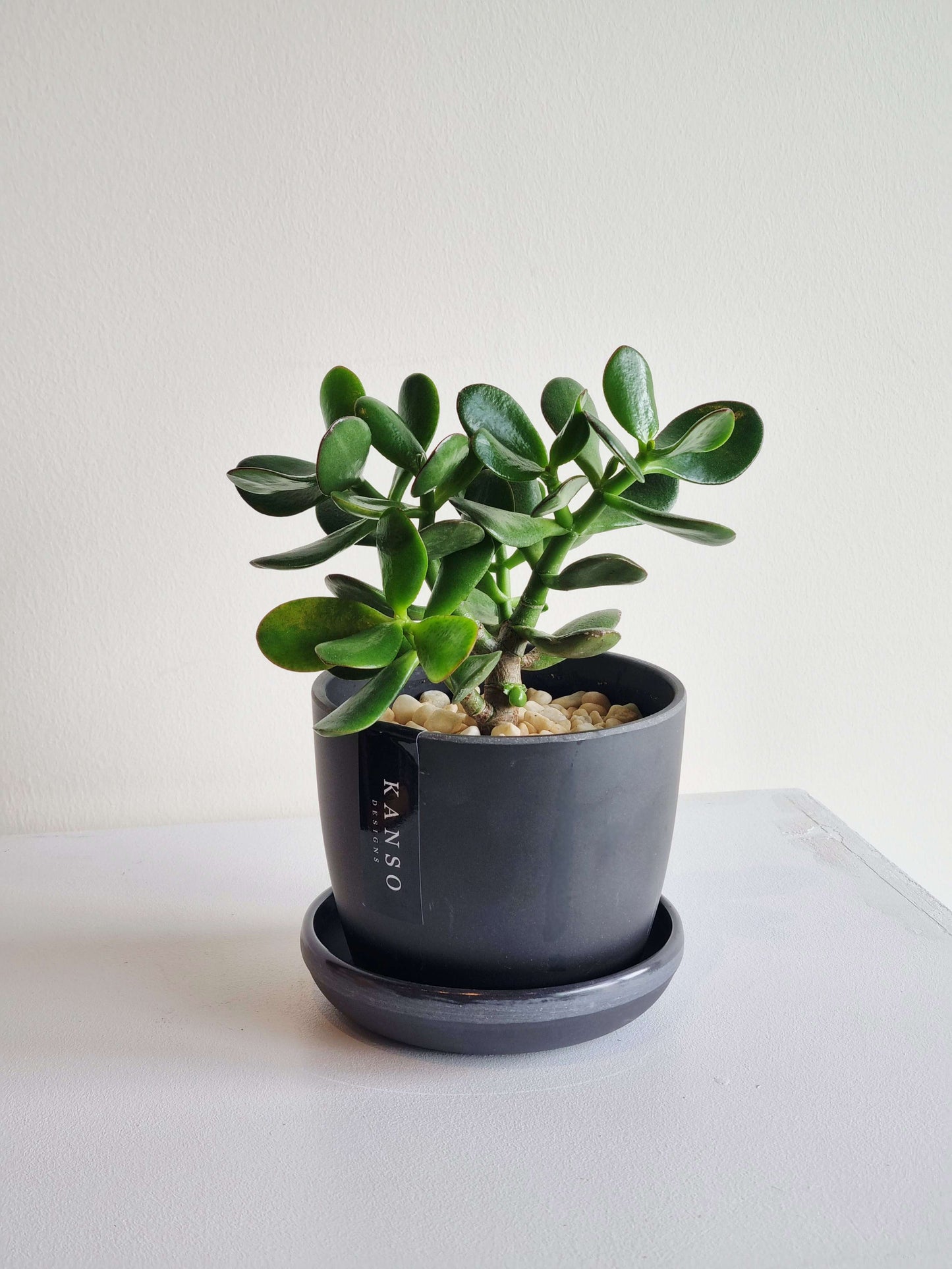 Jade