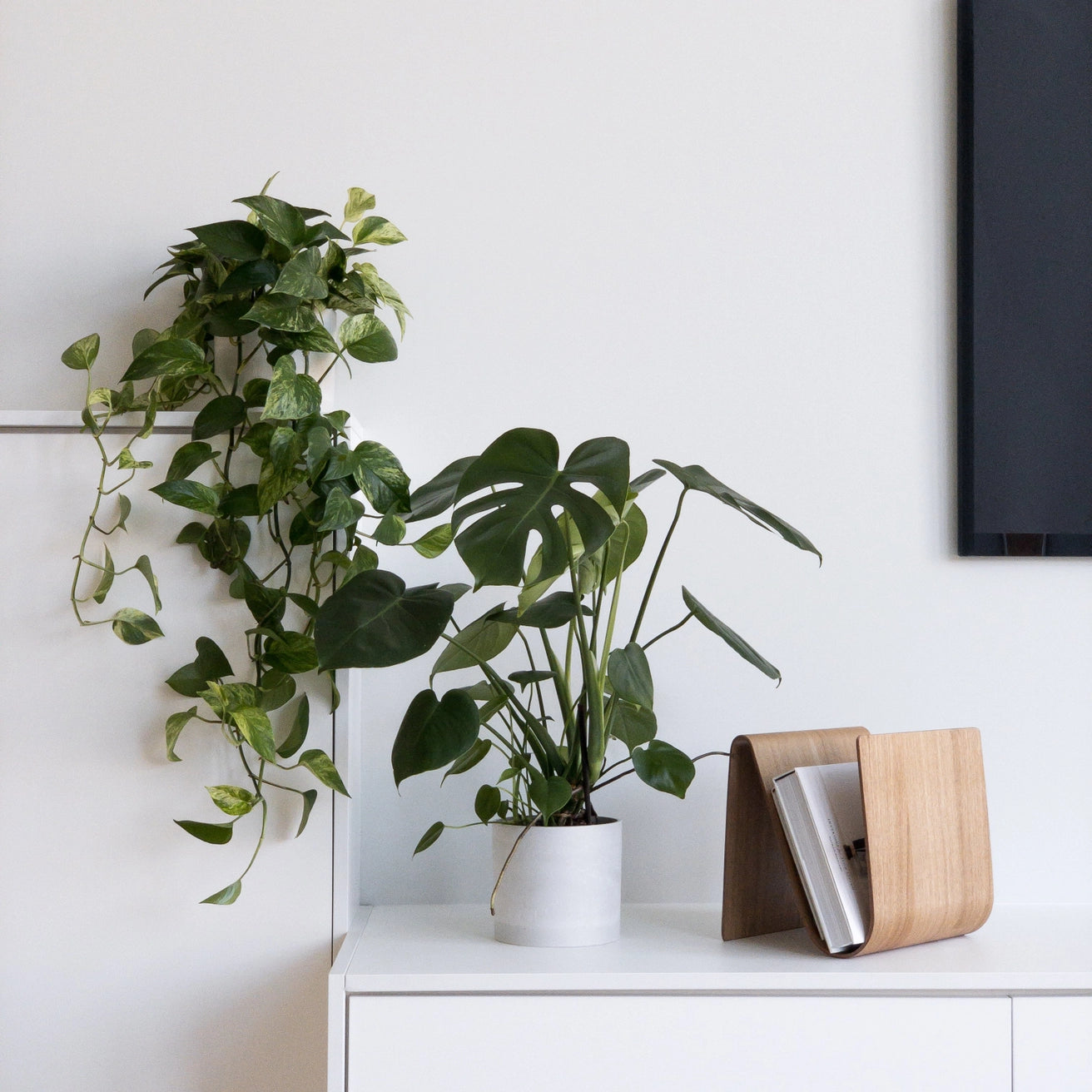 Kanso - Signature Stone Planter & Saucer Set