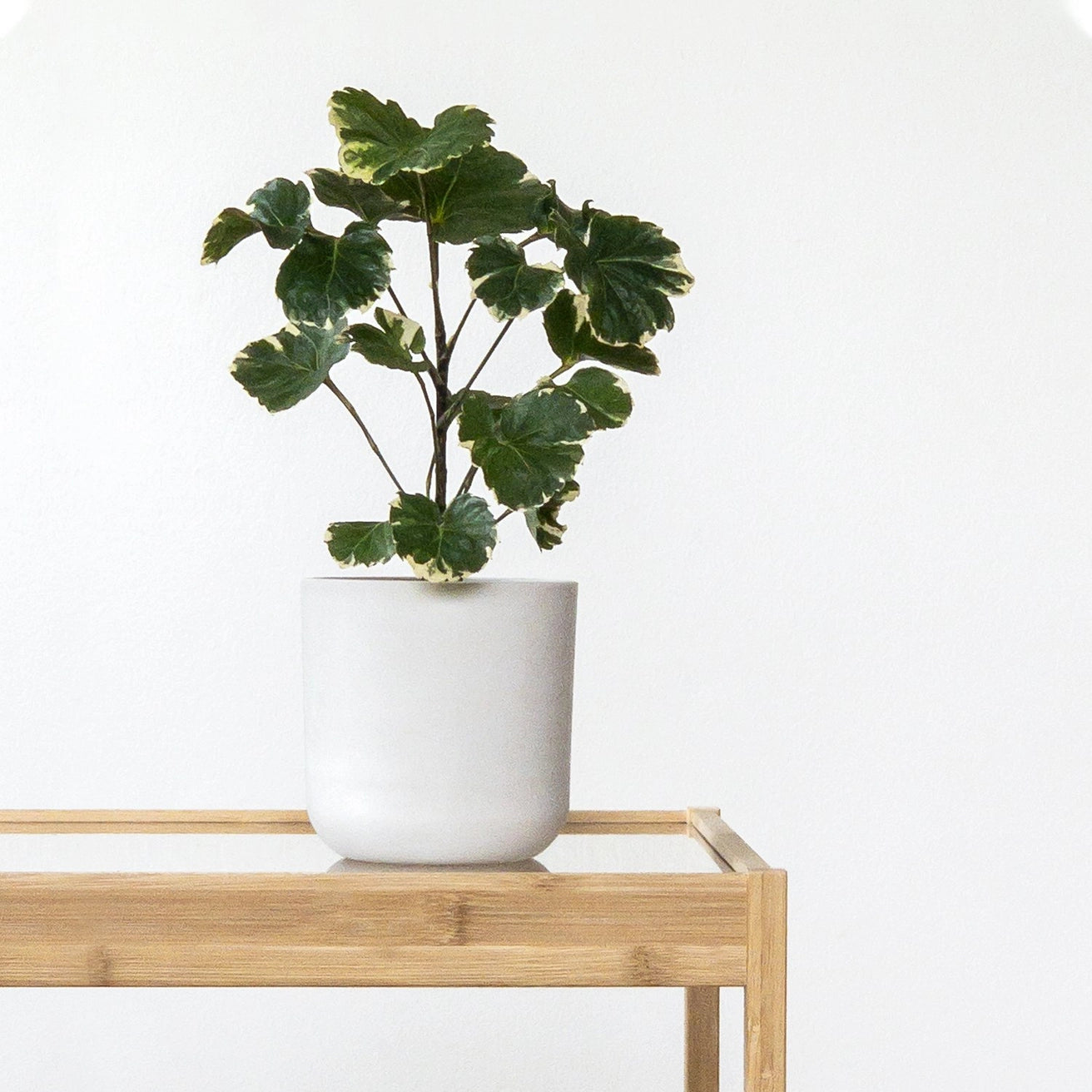 Kanso - Signature Stone Planter & Saucer Set