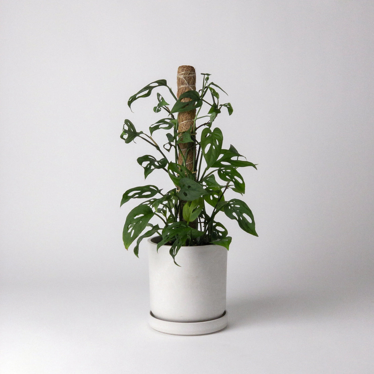 Kanso - Signature Stone Planter & Saucer Set