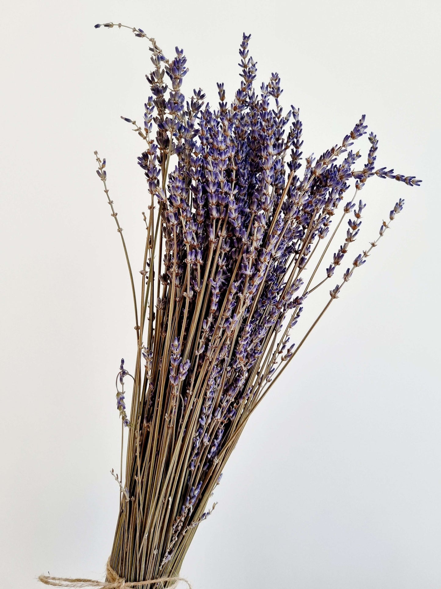 Natural Dried Lavendar