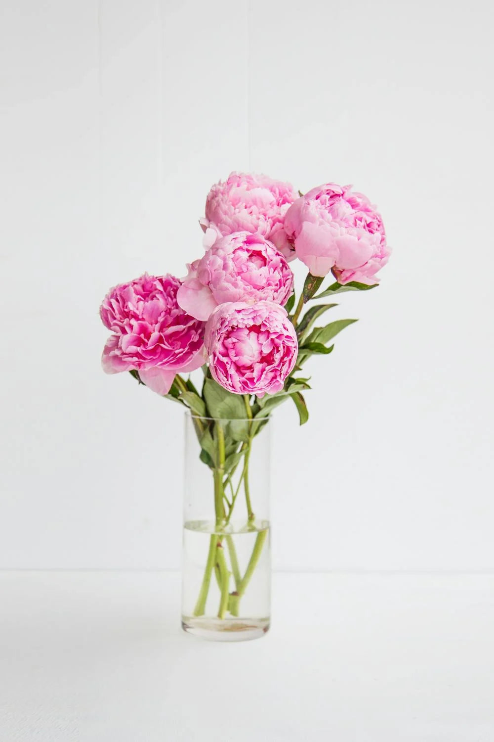 Fresh Cut Peonies