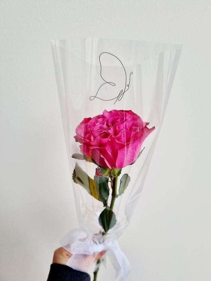 Single Rose