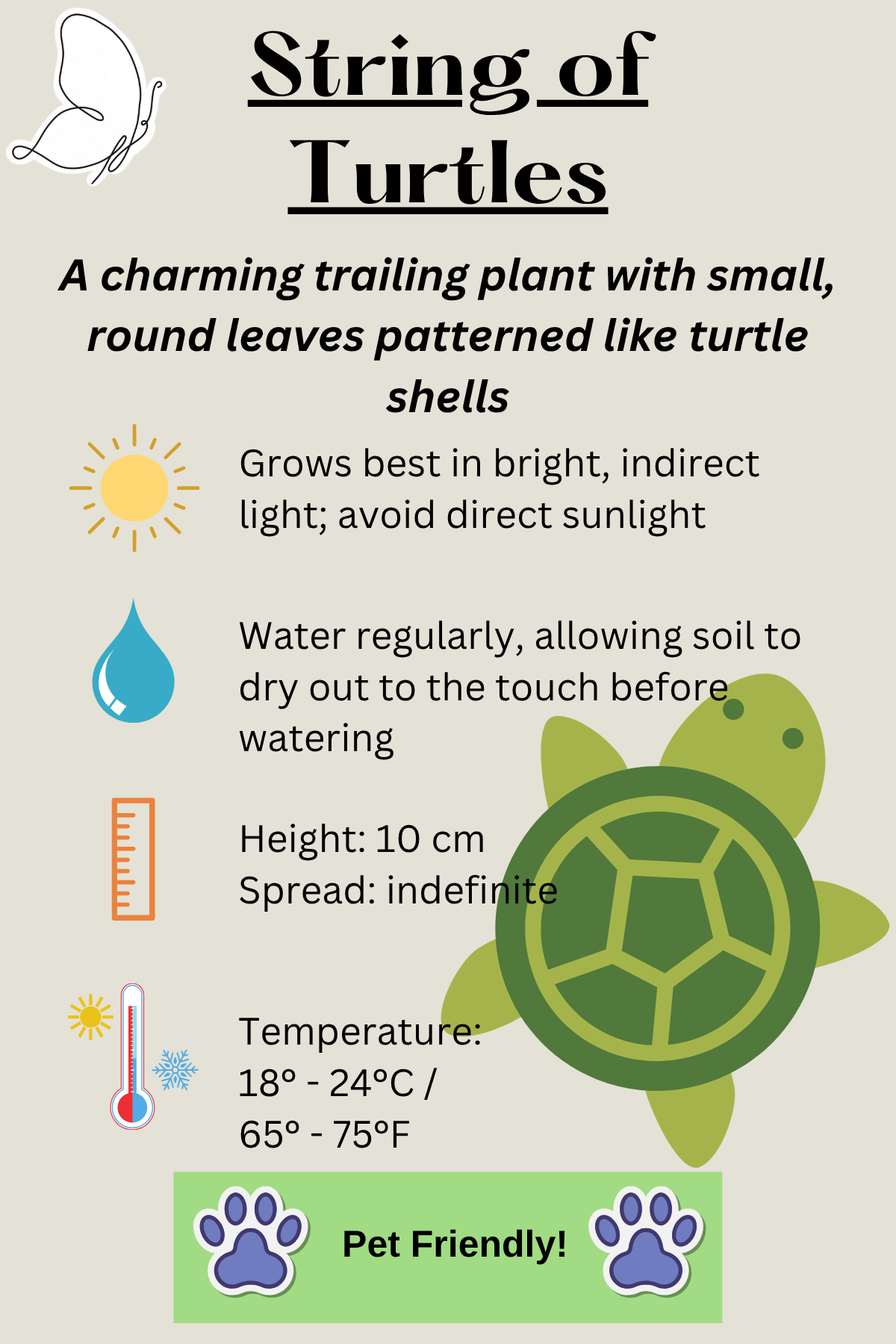 String of Turtles