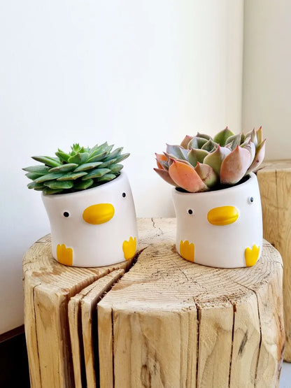Quacky Duck Succulent Planter
