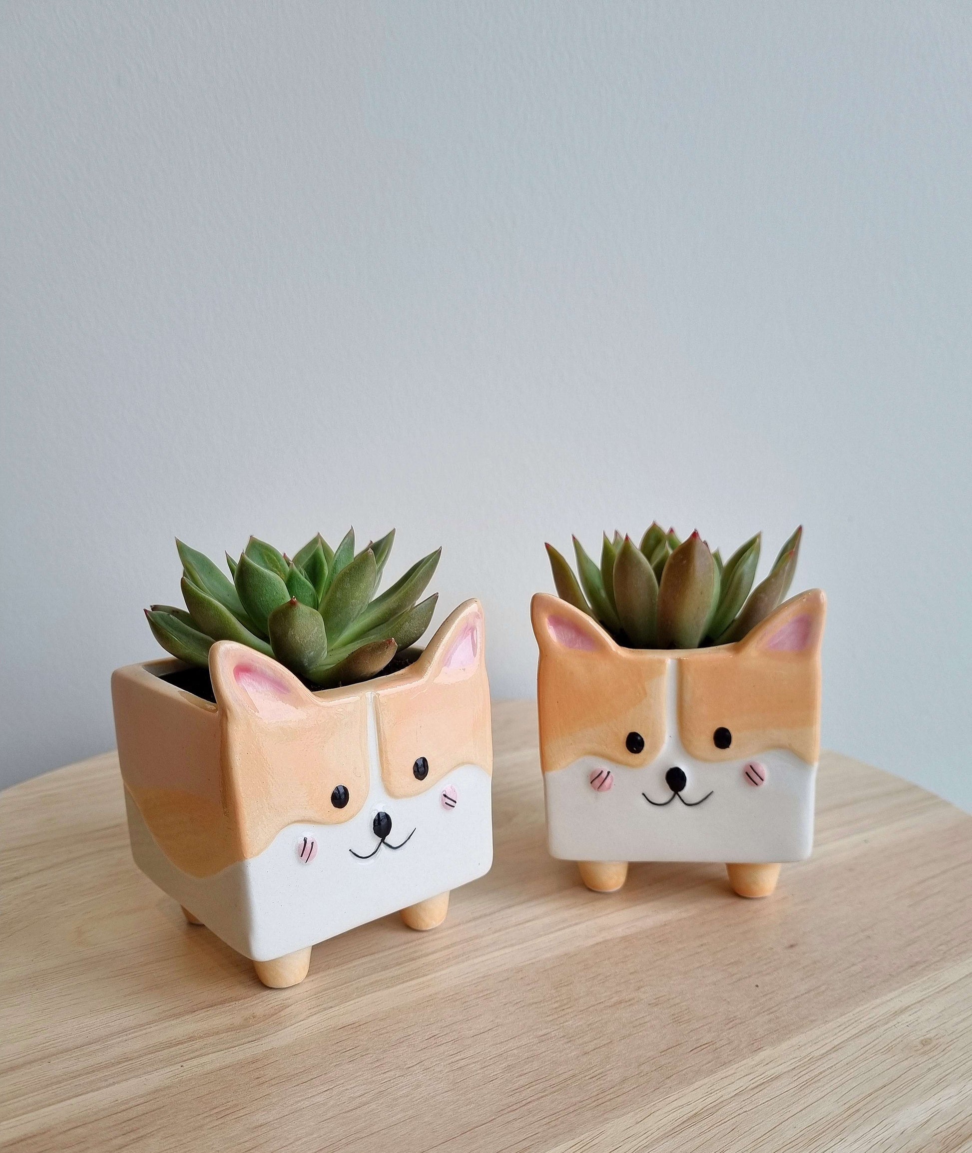 corgi succulent pot Corgi Ein Succulent Planter – Nabi Flowers