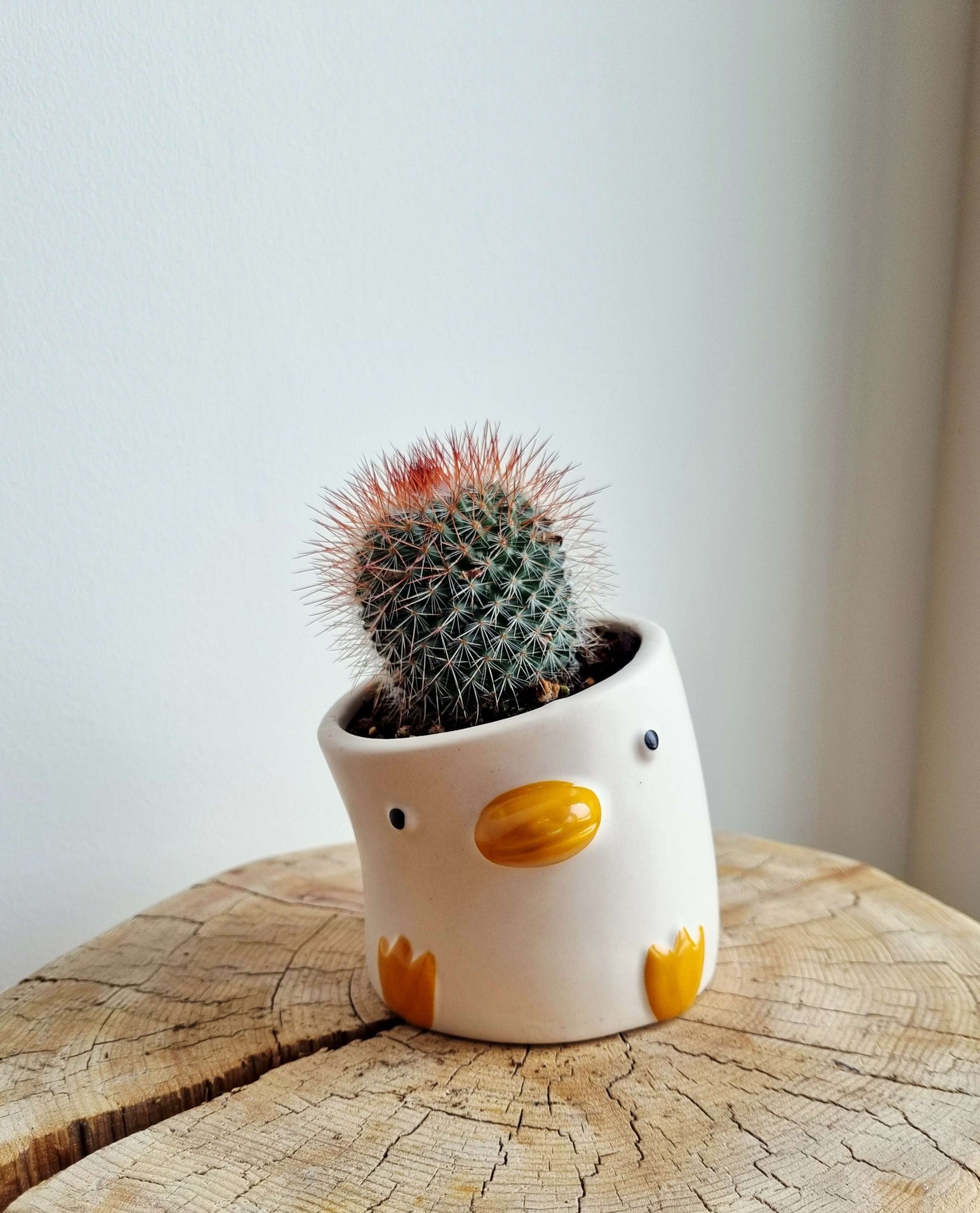 Quacky Duck Petite Planter