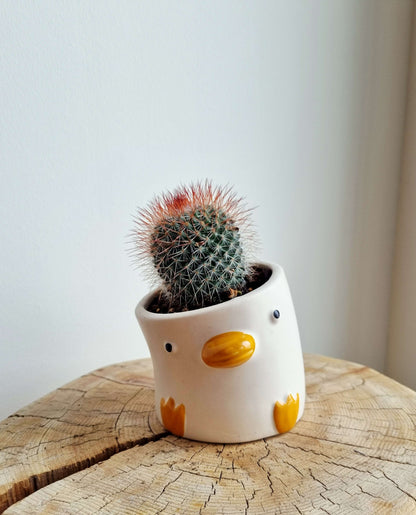 Quacky Duck Petite Planter