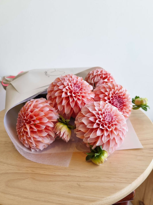 Fresh Cut Dahlias