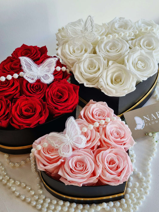 Forever Nabi - 영원의 나비