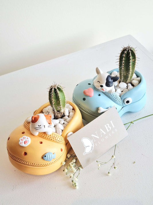 Croc Buddies