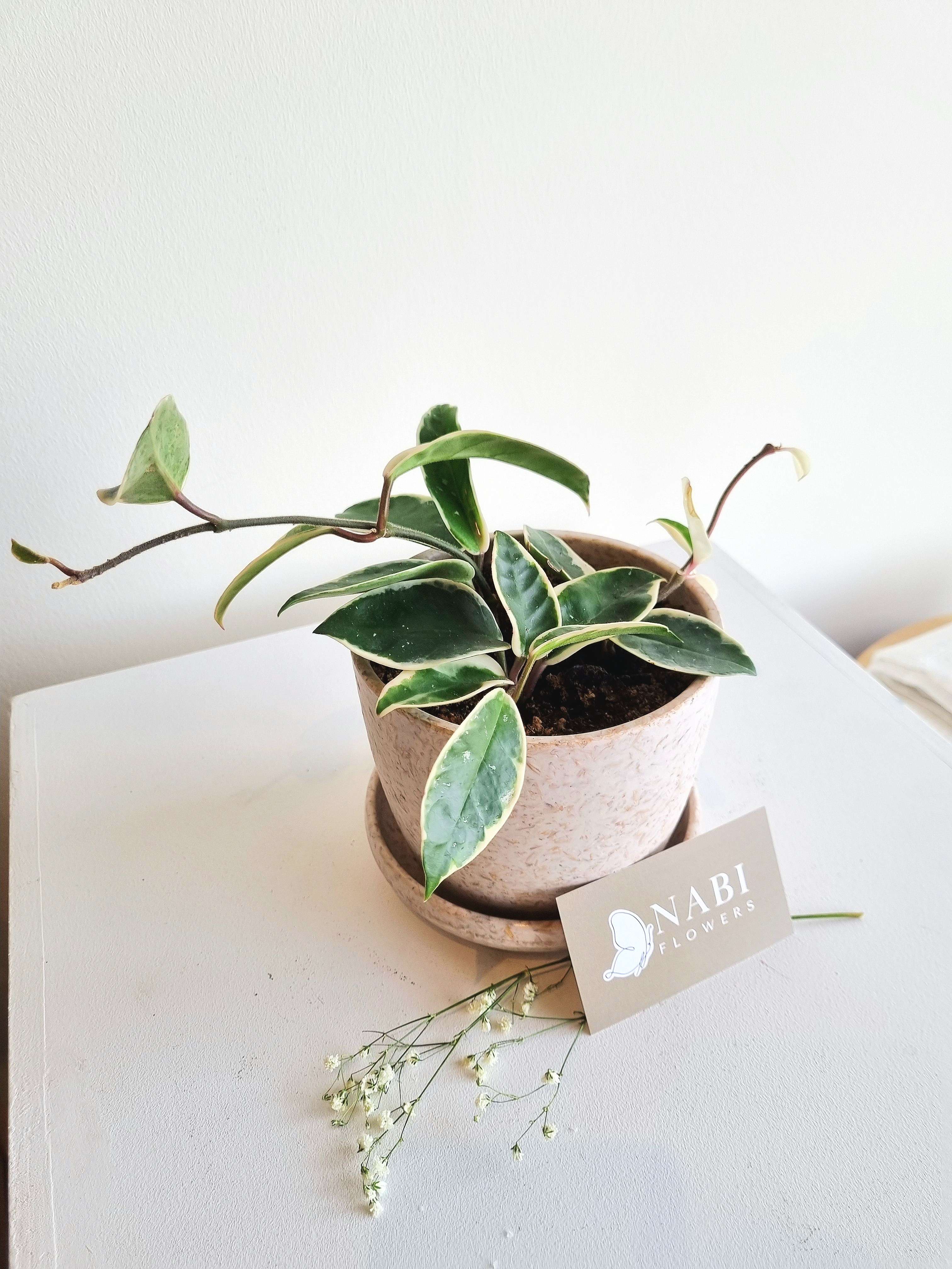 20260128_130547.jpg?v=