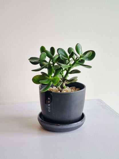 Jade