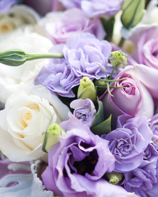 Lavendar Lullaby