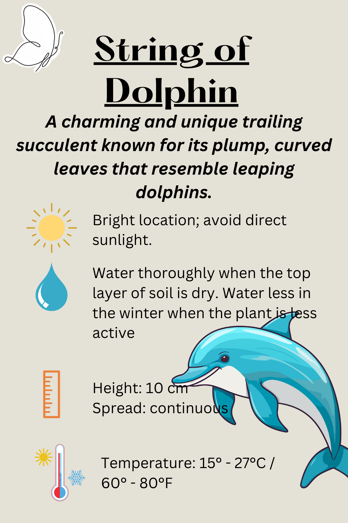 String of Dolphin