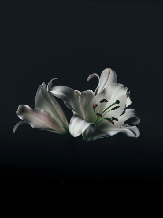 Sympathy Bouquet