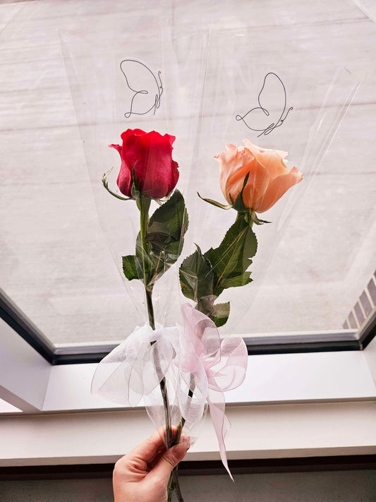 Single Rose